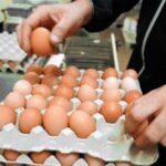 هذا موعد مقابلة المغرب و نيجيريا و القنوات الناقلة للمبارة