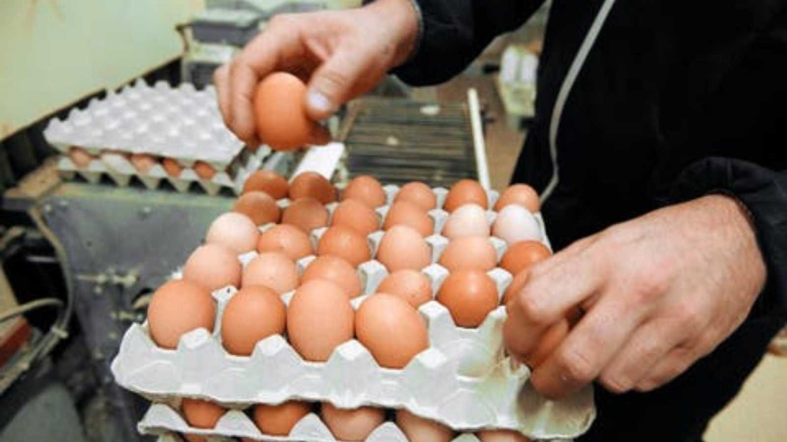 أونسا تصدر تعليمات لتوخي الحيطة والحذر بشأن بيض رمضان