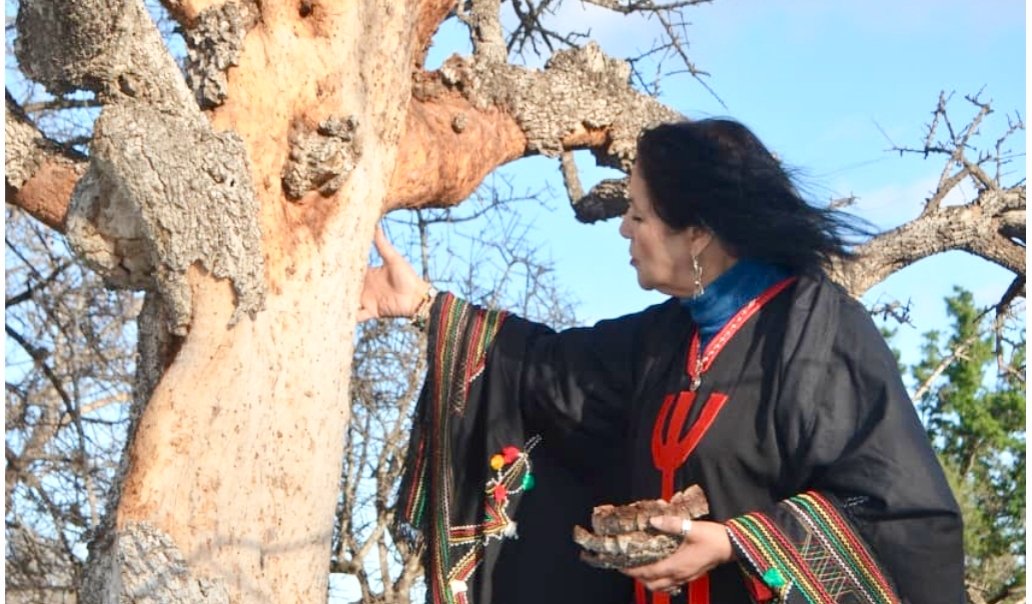 ” أركا يالا وأركان…” صرخة الفنانة الأمازيغية تبعمرانت لانقاذ شجرة الأركان