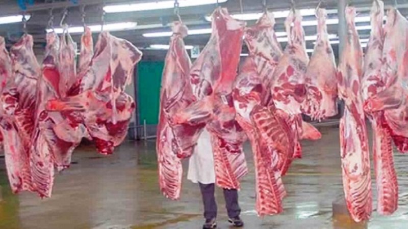 شلل شبه تام بالمجازر الجهوية للرباط سلا بسبب الاضراب