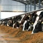 تسجيل هزة ارضية اخرى اليوم الاربعاء باقليم افران