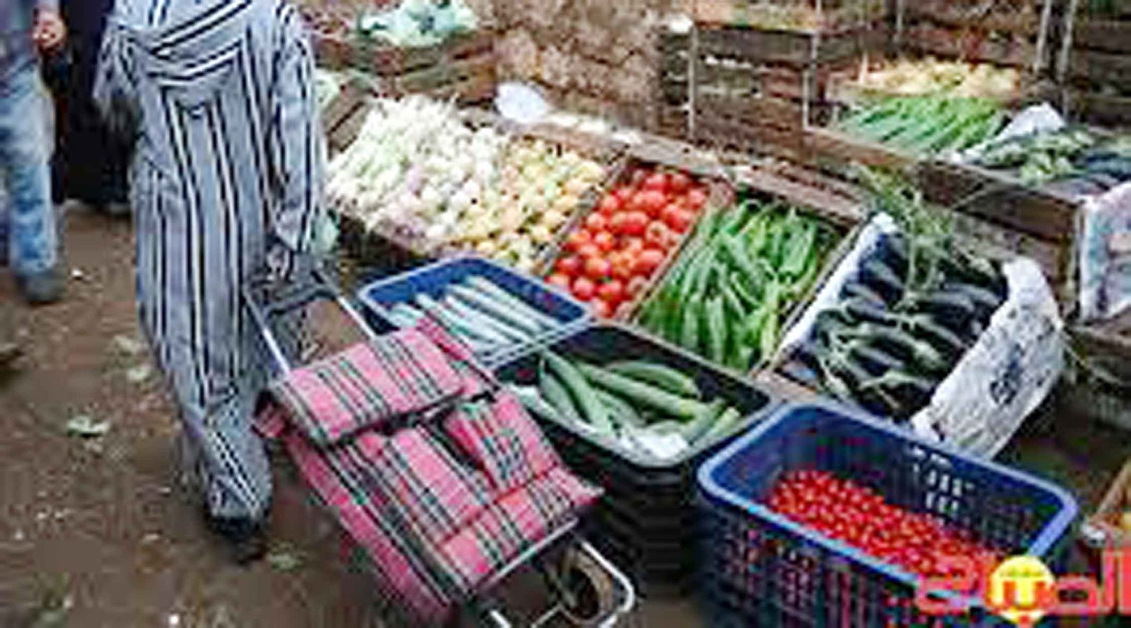 كابوس ارتفاع اسعار الخضر قبل رمضان يخيف المستهلك