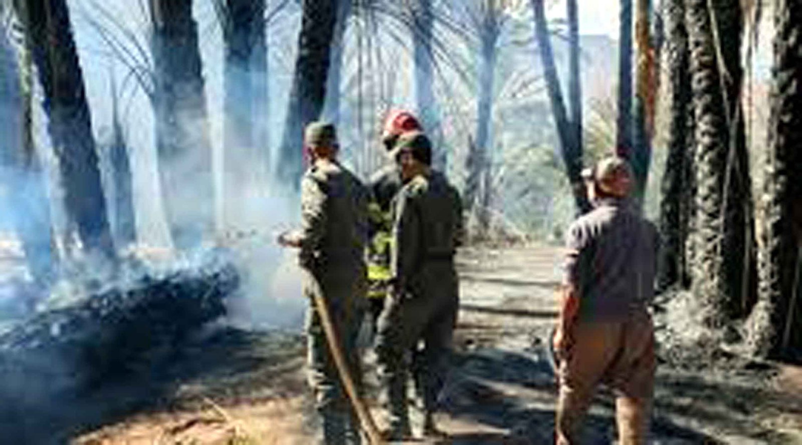 السلطات تفتح تحقيق لتحديد اسباب حريق مهول بحقول “تنغيل” بزاكورة