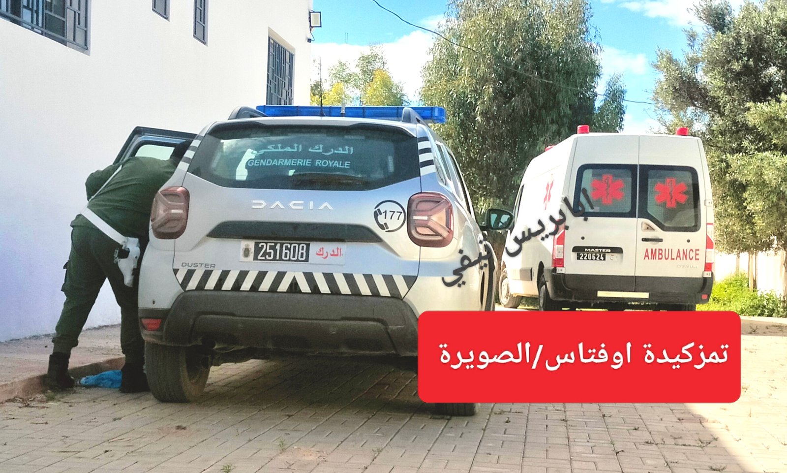 النحل يقتل اربعيني من جماعة تمزكيدة اوفتاس باقليم الصويرة