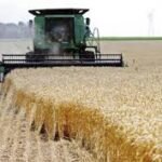 جو بارد نسبيا، خلال الصباح والليل في طقس اليوم الخميس