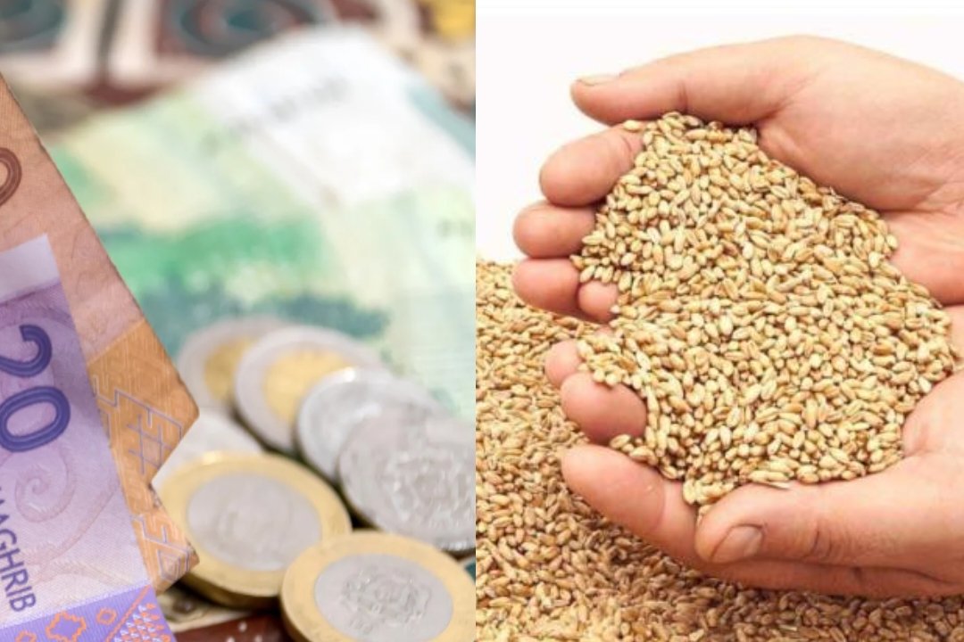 المجلس العلمي الأعلى يعلن مقدار زكاة الفطر نقدا لعام 1447هـ/ 2026م